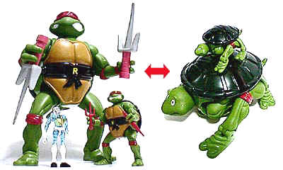 Turtlegi.jpg (29714 oCg)